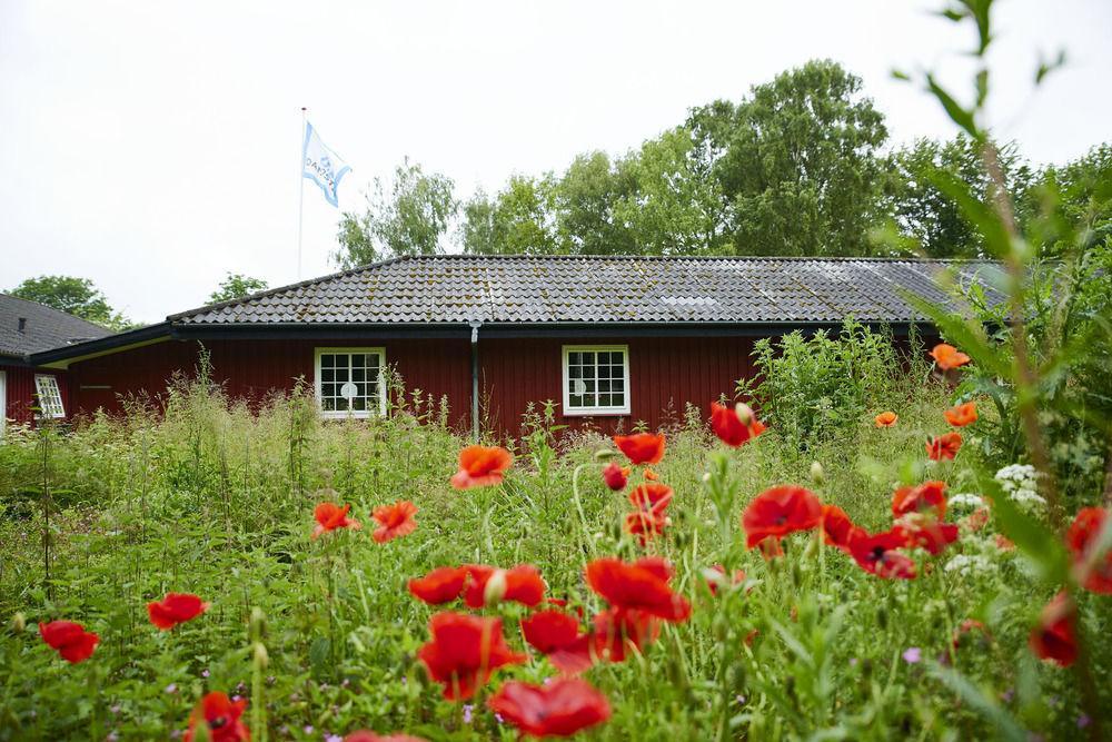 Kerteminde Hostel Luaran gambar